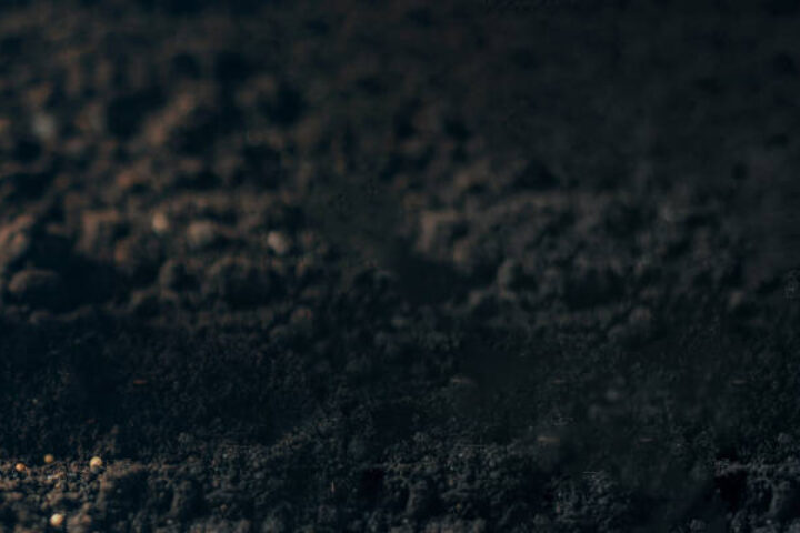 Close‑up of a dirt‑covered hand dropping tiny seeds into dark soil.